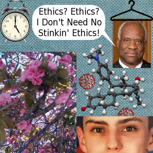 Clarence Thomas & Jack Teixeira, Who's Doing More Damage to the World?