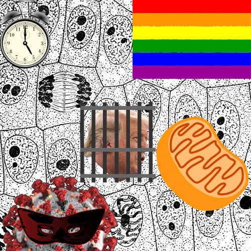 We're Made of Cells. Trump's Indictment. It's Pride Month.